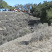 IMG 1539