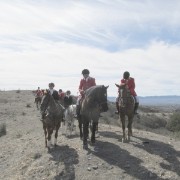 IMG 1578