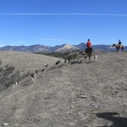 IMG 1579