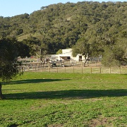 P1000064