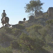 P1000089