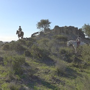 P1000090
