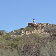 P1000103