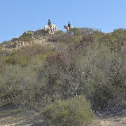 P1000104