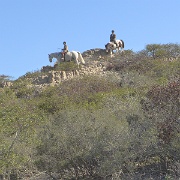 P1000105