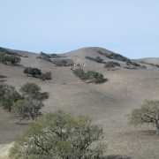IMG 1344