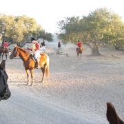 IMG 0511