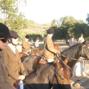 IMG 0515