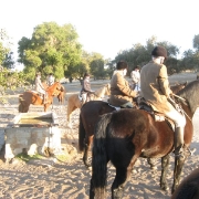 IMG 0518