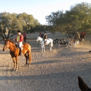 IMG 0525