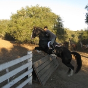 IMG 0527
