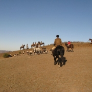 IMG 0532