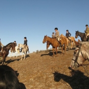 IMG 0535