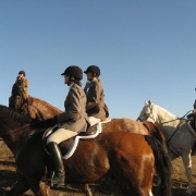 IMG 0538