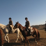 IMG 0539