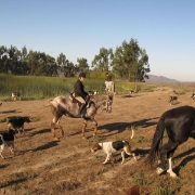 IMG 0540