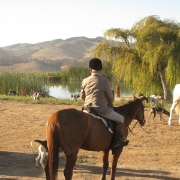 IMG 0543