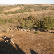 IMG 0555