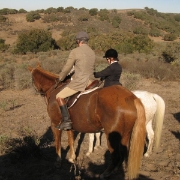 IMG 0561