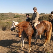 IMG 0563
