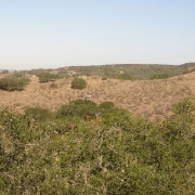 IMG 0564