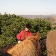 IMG 0565