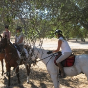 IMG 0435