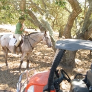 IMG 0450