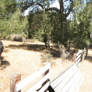 IMG 0454