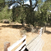 IMG 0455