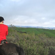 IMG 4398