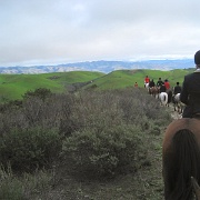 IMG 4415