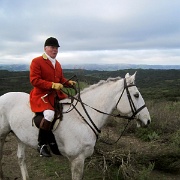 IMG 4424