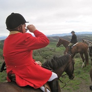 IMG 4437