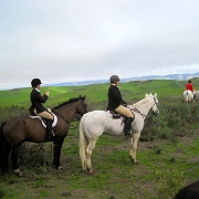 IMG 4438