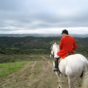 IMG 4445