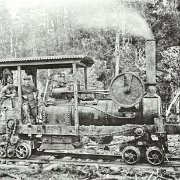 JB112  This steam engine is probably a small version of the one that went with the boiler, the wooden rails and the small trucks that were there where we had lunch.  The firebox, the stack and the engine itself were missing, but many of the features of this engine is visible on the boiler there in the forest.