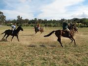 IMG_1946