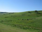 IMG_5565