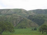 IMG_6126