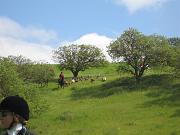 IMG_6147