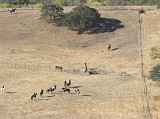 IMG_0054